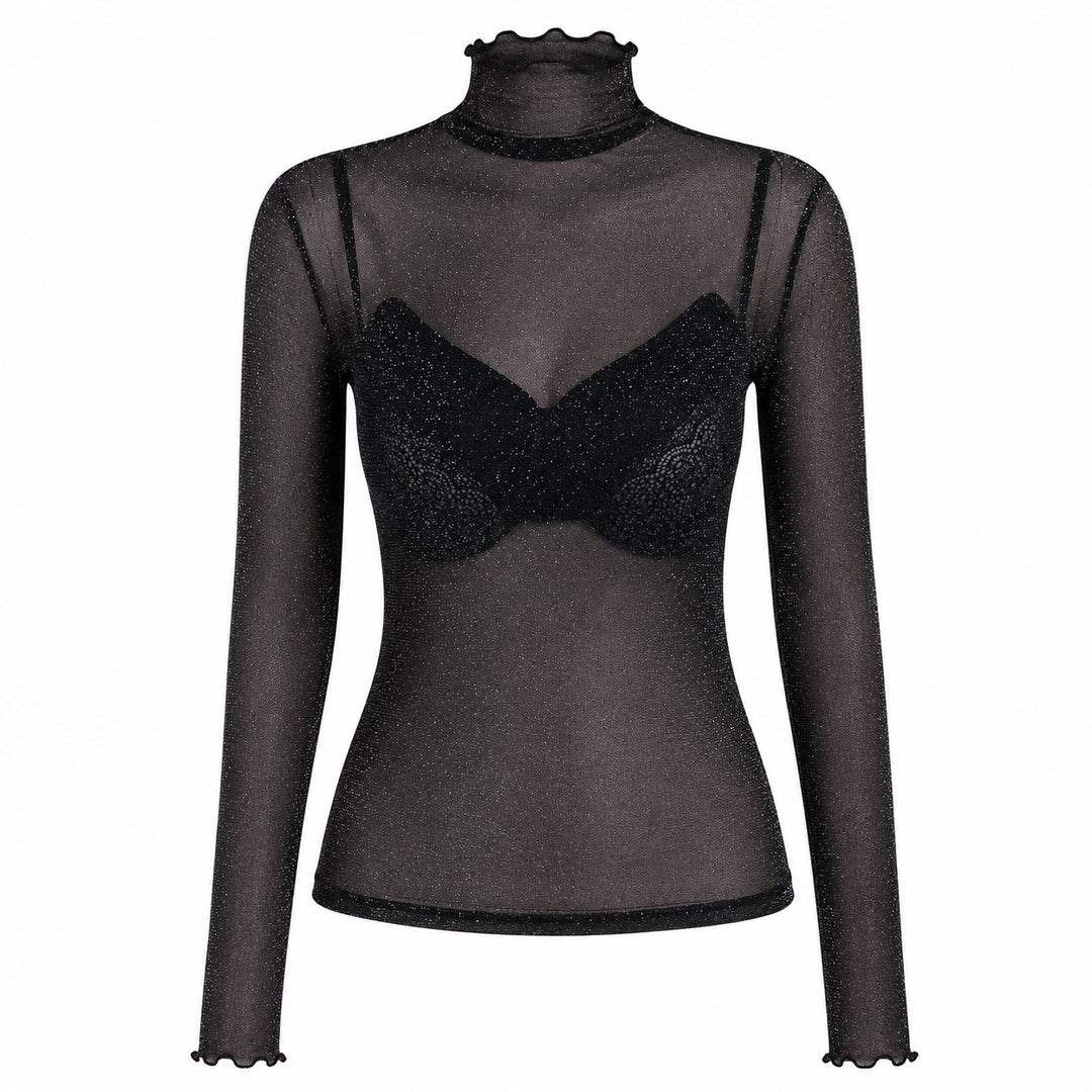 Velina Sheer Turtleneck — ce_wb_01